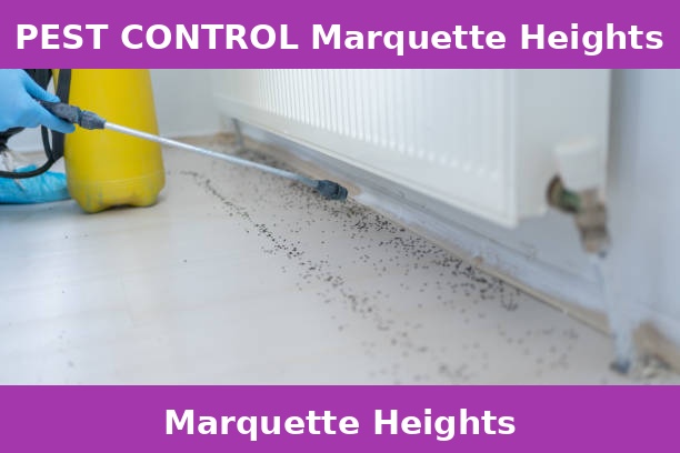 PEST CONTROL Marquette Heights